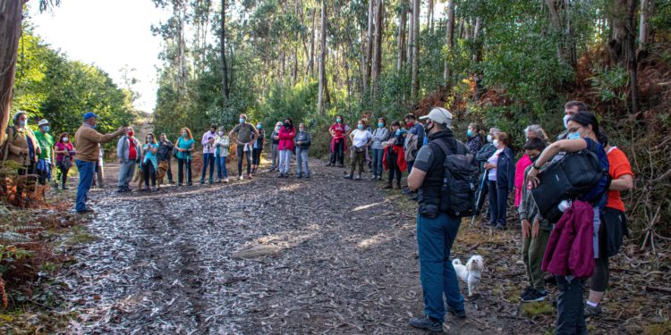 Camiño a Camiño convida a percorrer os montes de Valladares e de Matamá-Comesaña