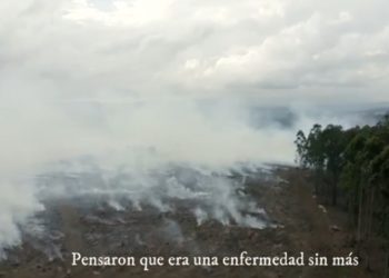 El Monte Alba se convierte en ‘El Bosque del Diablo’ con una ‘escape room’ de miedo y aventura