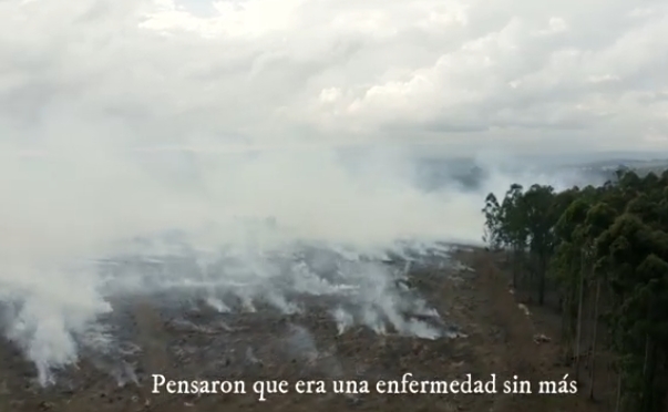 El Monte Alba se convierte en ‘El Bosque del Diablo’ con una ‘escape room’ de miedo y aventura