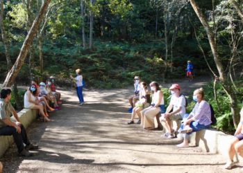 Trinta leccións completas de natureza nos “Bosques terapéuticos”