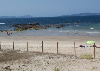 O Parlamento Europeo investigará os “danos” causados na Calzoa tras ser designada praia canina