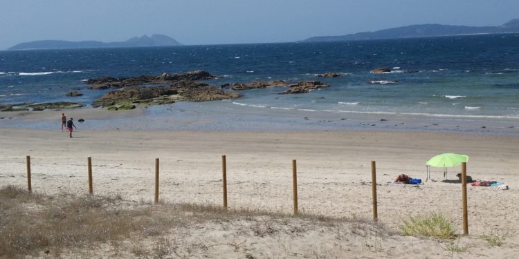 O Parlamento Europeo investigará os “danos” causados na Calzoa tras ser designada praia canina