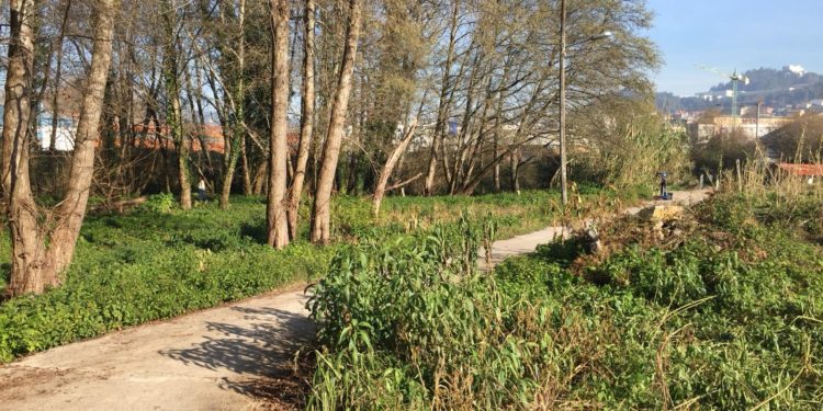 El parricida de Sárdoma acuerda la condena por el crimen de su padre y se declarará culpable