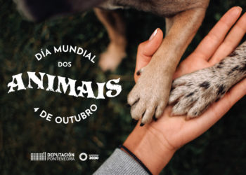 A Deputación súmase ao Día Mundial dos Animais cunha nova campaña de concienciación