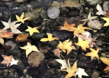 El día de la patrona de la Guardia Civil