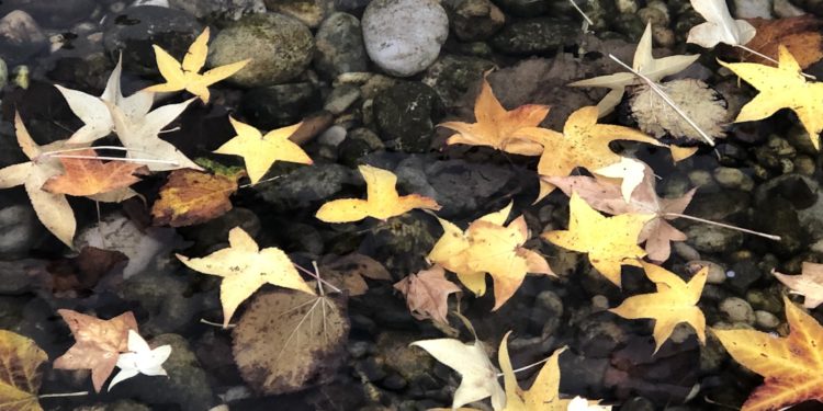 El día de la patrona de la Guardia Civil