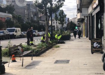 Jardinería de salvación