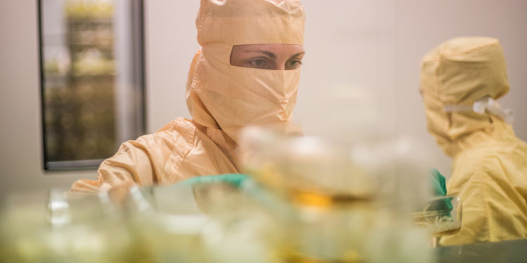 La porriñesa Biofabri, escogida por la CEPI para fabricar 500 millones de vacunas contra la Covid-19