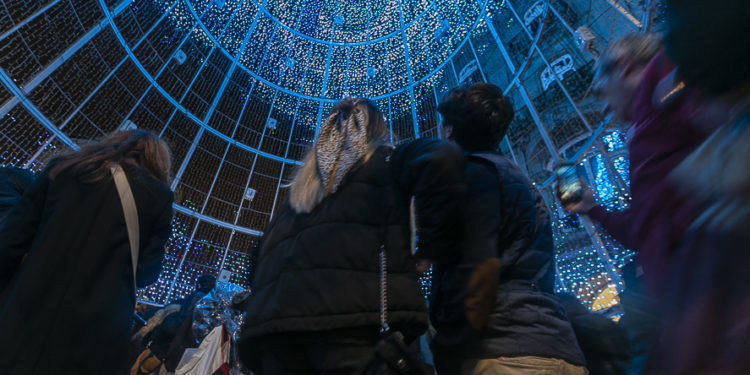 La Navidad más solitaria del árbol gigante de Vigo: el Concello tiene previsto prohibir entrar en él