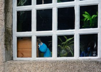 Certezas y dudas del Covid-19