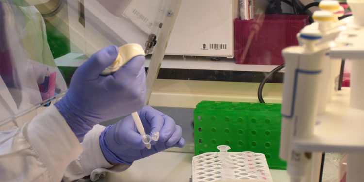 A UVigo ‘capta’ sete novos investigadores distinguidos en España e no estranxeiro