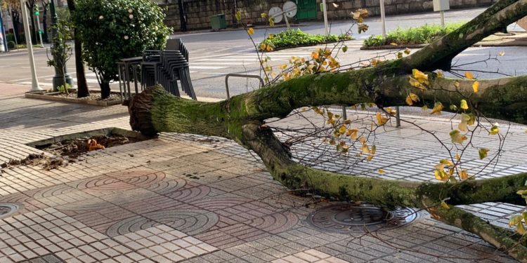 Rachas de 90 km/h en las Cíes y más de 37 l/m2 en Ponteareas y Fornelos