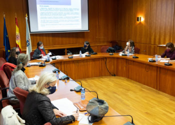 A Rede Mulleres Veciñais contra os malos tratos de Vigo recibe a Medalla Emilia Pardo Bazán