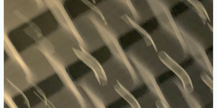 Pedro, nos criticarán por lo que somos