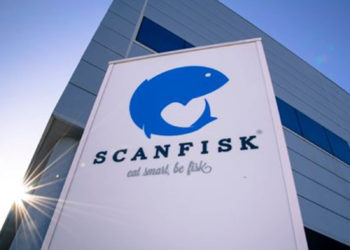 Stolt Sea Farm y Scanfisk Seafood acuerdan comercializar rodaballo y lenguado congelados en Europa