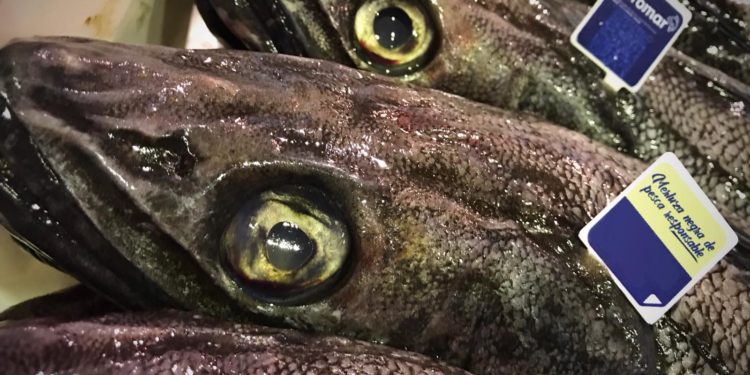 Armadores gallegos lanzan su «Merluza negra responsable»