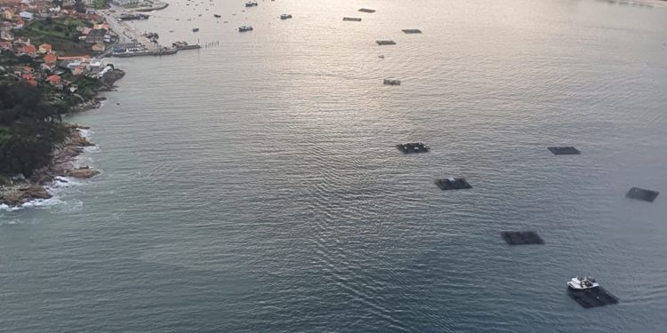 Rescatan a tres marineros tras hundirse su barco en Cangas